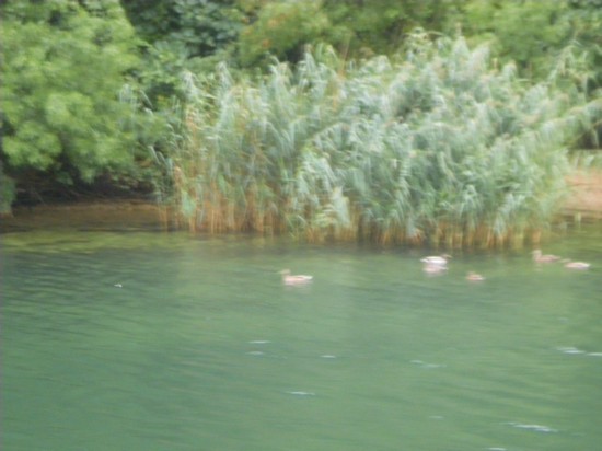 37497_krka_sibenik