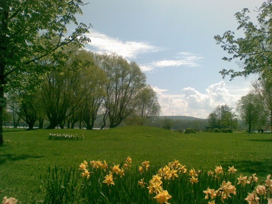 41207_primavera_svedese_stoccolma