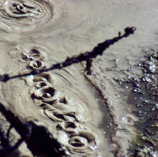 44728_geysers_auckland