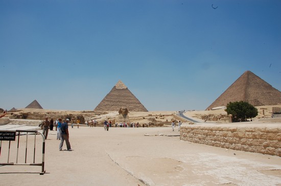 48762_la_piana_di_giza_giza
