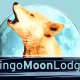 Dingo Moon Lodge