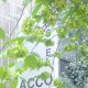Acco hostel