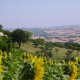 Il Sorger Del Sole Country House