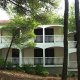 HOSTEL GOLDEN LIONESS