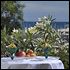 Terrazza/balcone