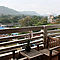 Terrazza/balcone