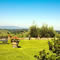 Giardino