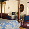 Senior Suite