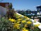 Terrazza