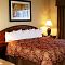 Camera king