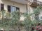 Esterno