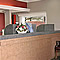 La reception