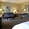 Suite king