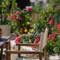 Terrazza