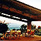 Terrazza