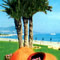 I dintorni dell'hotel