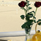 Terrazza/balcone