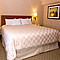 Suite king