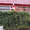 Esterno