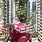 Appartamento - Terrazza