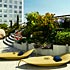 Terrazza