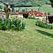 Parco