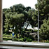 Vista dalla stanza