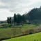 Vista dalla stanza