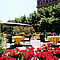 Terrazza
