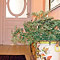 B&B - Interno