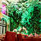 Cortile interno