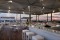 Terrazza