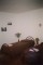 Camera tripla