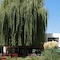 Parco