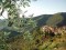 Esterno