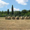 Vista dalla stanza