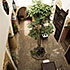 Cortile interno