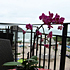 Terrazza/balcone