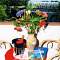 Terrazza/balcone