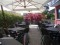 Terrazza