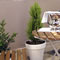 Terrazza