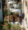 Terrazza