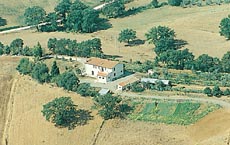 Manzinello