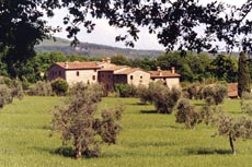 La Fattoria Del Rio Di Sopra