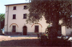 Tenuta Casaccorti