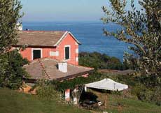 Natta Di Monte Tabor