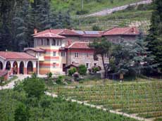 Casa Wallace S.s.