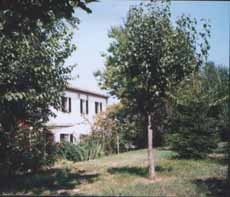 Il Gelso