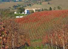 Vigna Sant’amico Country House