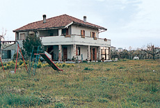 Il Mandorlo